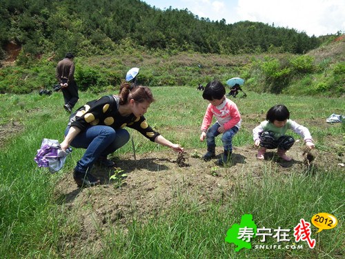 雷锋茶场1.jpg