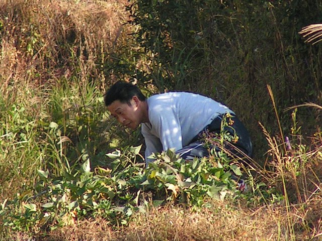 马蹄坑驴行--T地瓜