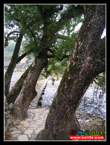 行者四摄郎游仙峰岭