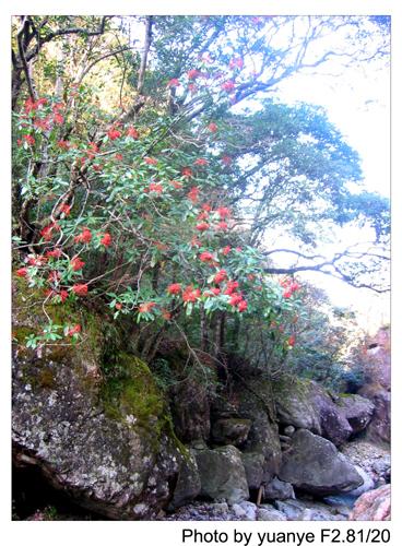 征服“小华山”(驴行图片记录)