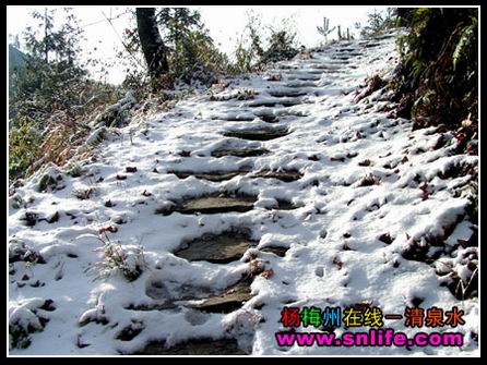 冬雪（今冬寿宁第一场雪）