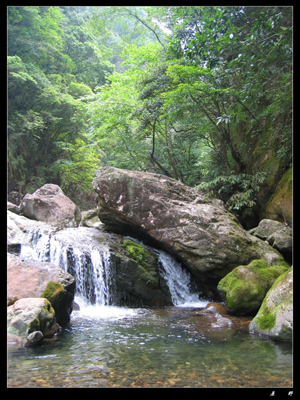 乙酉初夏芎坑峡谷游记