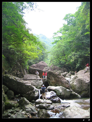 乙酉初夏芎坑峡谷游记