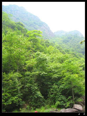 乙酉初夏芎坑峡谷游记