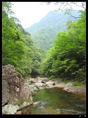 乙酉初夏芎坑峡谷游记